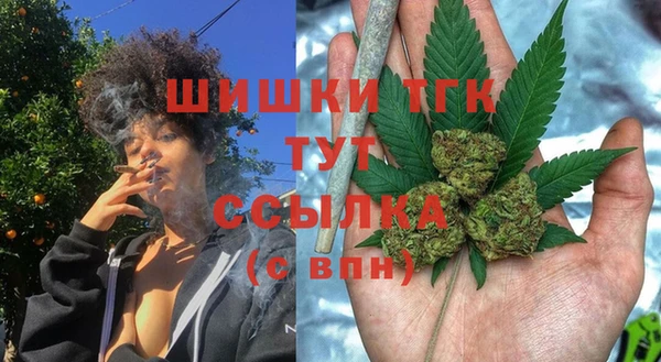 прущий лед Козловка