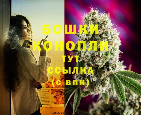прущий лед Козловка