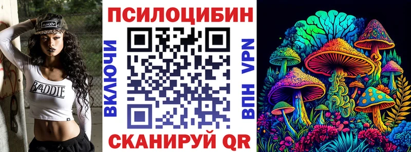 Псилоцибиновые грибы мицелий  сайты даркнета телеграм  Красный Кут  наркошоп 